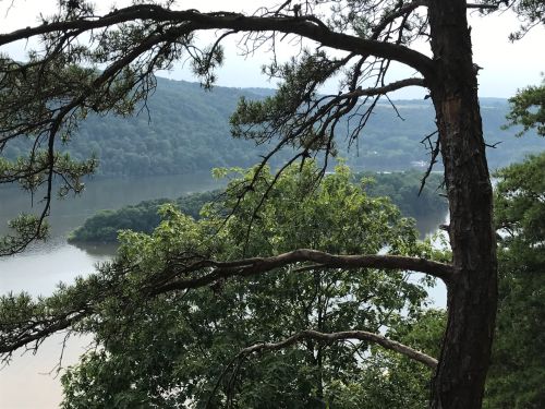 A scenic view of a river surrounded by lush greenery and hills, framed by tree branches in the foreground.