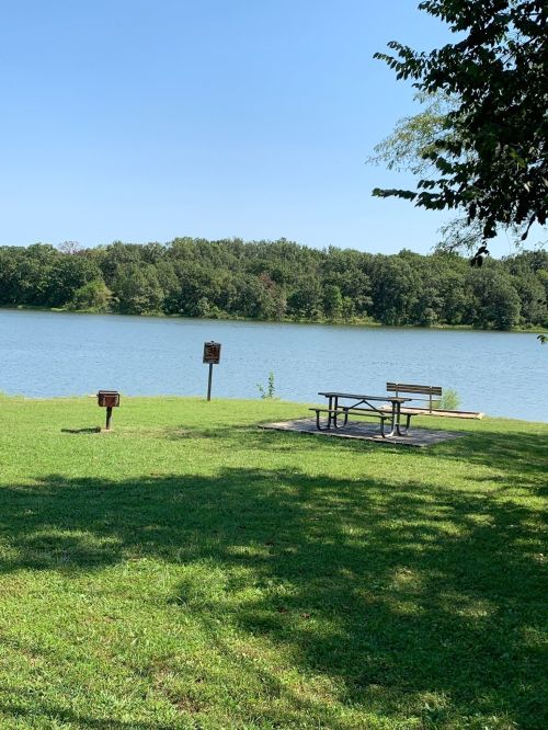 A peaceful lakeside scene with a picnic table and grill, surrounded by green grass and trees under a clear blue sky.