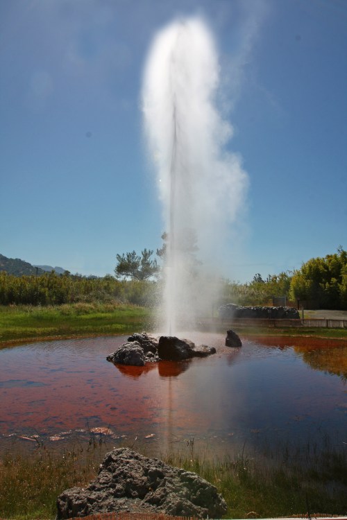 A geyser erupts, sending a plume of steam and water into the clear blue sky above a rocky pond.