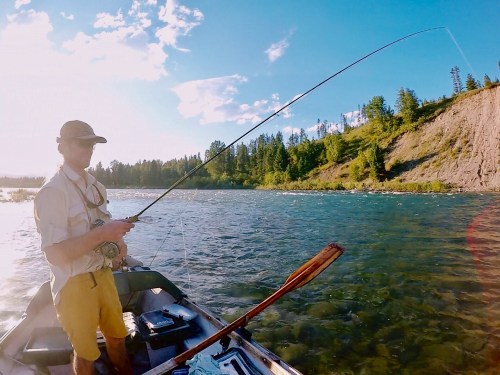 A person fishing from a boat on a river, surrounded by trees and a sunny sky.