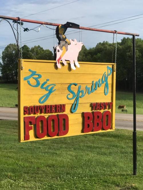 Sign for Big Springs Southern Food BBQ, featuring colorful lettering and a pig graphic, set against a green landscape.
