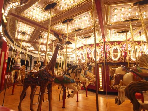 A brightly lit carousel featuring intricately designed horses and a giraffe, set in a vibrant amusement park.