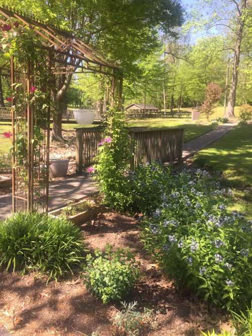 A serene garden scene featuring a trellis, colorful flowers, and a pathway surrounded by lush greenery.