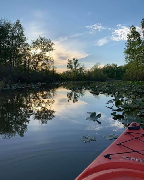 A serene kayak view on a calm lake, surrounded by lush greenery and reflecting clouds in the water.