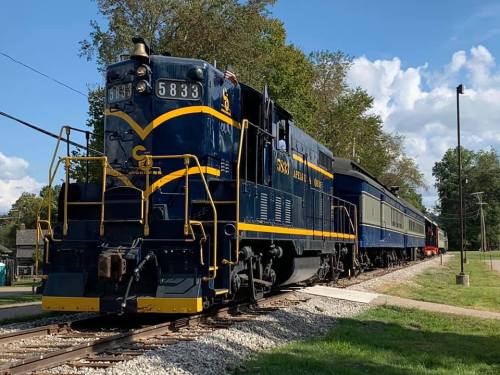 A vintage blue and yellow locomotive with passenger cars on a sunny day, surrounded by trees and a clear sky.