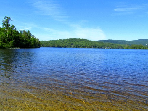 A serene lake surrounded by green trees under a clear blue sky, with gentle ripples on the water's surface.