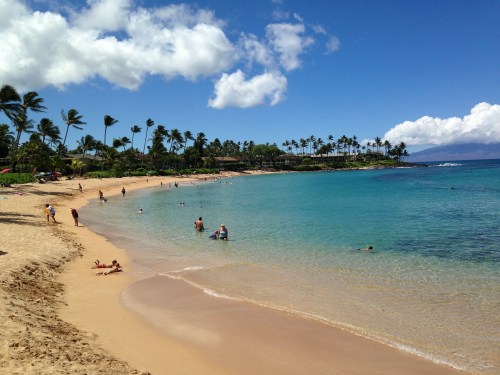 A sunny beach scene with people swimming and relaxing, surrounded by palm trees and clear blue water.