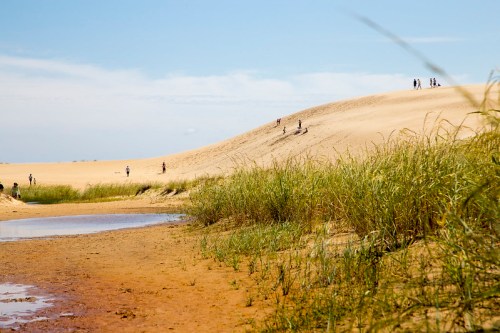 A sandy dune with people walking on top, surrounded by grass and a small stream in the foreground under a blue sky.