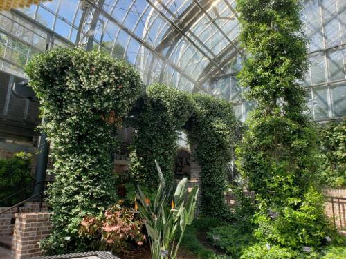 Lush greenery and ivy-covered arches inside a bright, glass-enclosed greenhouse with tropical plants.