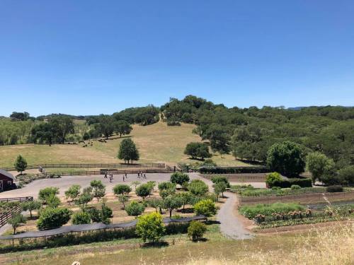 A scenic view of a farm with green hills, trees, and a clear blue sky, featuring a garden and people walking.