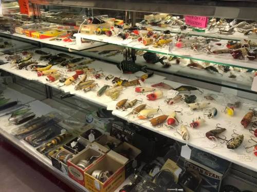 A display case filled with various fishing lures and tackle, showcasing colorful designs and different styles.