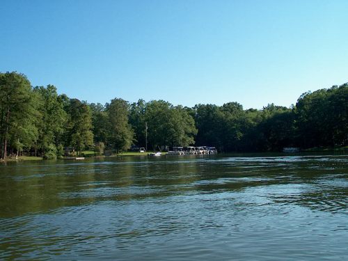 A serene river scene with lush green trees and a small dock in the background under a clear blue sky.