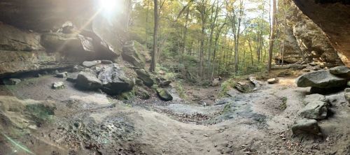 A panoramic view of a forested area with rocky terrain and sunlight filtering through the trees.