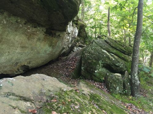 A rocky landscape with large boulders and lush green trees in a forest setting.