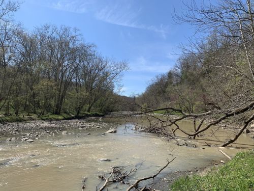 A serene river flows through a wooded area, with trees lining the banks under a clear blue sky.