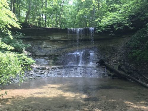 A serene waterfall cascades over rocky terrain into a calm pool, surrounded by lush green trees.