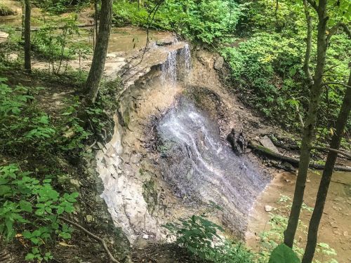 A small waterfall cascading over a rocky ledge surrounded by lush green foliage in a forested area.