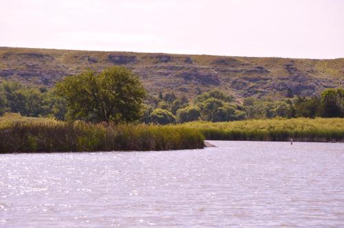 A serene river scene with lush greenery and a distant hillside under a clear sky. Sunlight sparkles on the water.