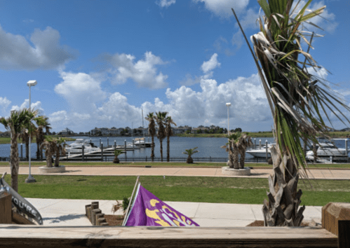 View of a marina with boats, palm trees, and a blue sky with fluffy clouds.
