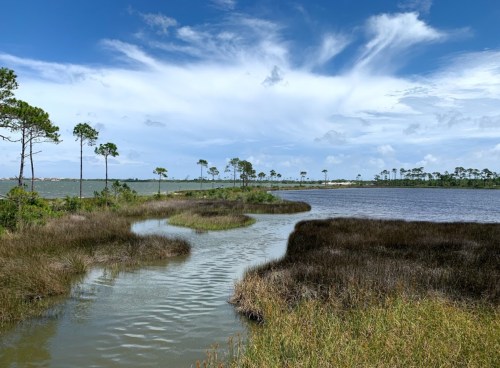 A serene landscape featuring a winding waterway surrounded by tall grasses and trees under a blue sky with clouds.