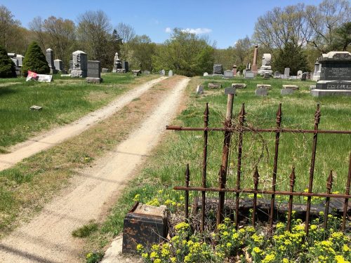 A dirt path leads through a cemetery, flanked by gravestones and overgrown grass, with a rusty fence and flowers in the foreground.