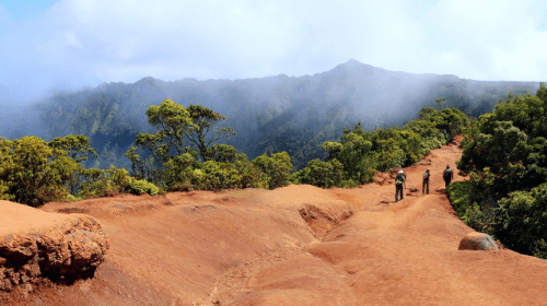 Hikers on a reddish dirt path surrounded by lush greenery and misty mountains in the background.