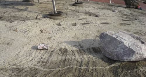 Footprints and tire tracks on a sandy surface, with a large rock in the foreground.