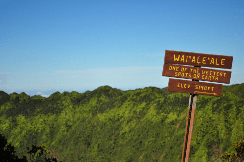 Signpost at Wai'ale'ale, noting it's one of the wettest spots on Earth, with lush green mountains in the background.