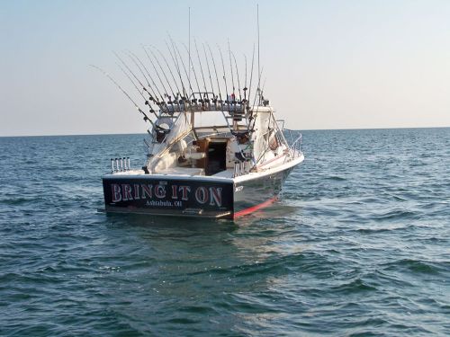 A fishing boat named "BRING IT ON" with multiple fishing rods, anchored on calm waters under a clear sky.