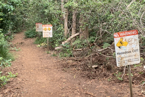 A dirt path through dense greenery with warning signs about a hazardous cliff on either side.