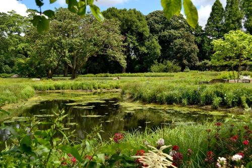 Lush green park with a pond, surrounded by trees and colorful flowers under a bright blue sky.