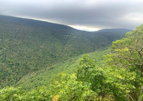 A panoramic view of lush green mountains under a cloudy sky, showcasing a deep valley and rolling hills.