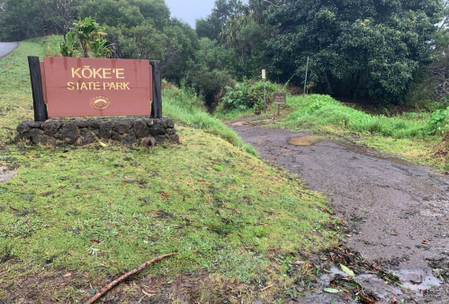 Sign for Kōkeʻe State Park at a muddy road entrance, surrounded by lush greenery and trees.