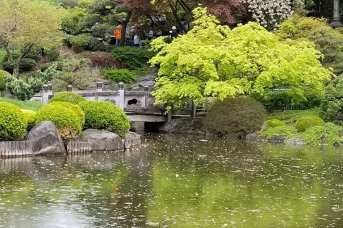 A serene garden scene featuring a pond, lush green trees, and a stone bridge surrounded by blooming flowers.