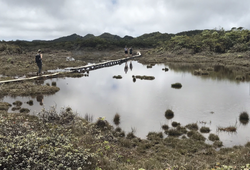 Two people walk on a wooden path over a shallow, reflective pond surrounded by grassy wetlands and distant hills.