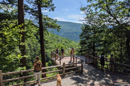 A scenic overlook with people enjoying the view of lush green mountains and trees on a sunny day. A dog is nearby.
