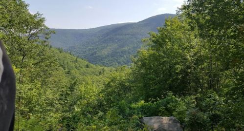 Lush green mountains and trees under a clear blue sky, showcasing a serene natural landscape.