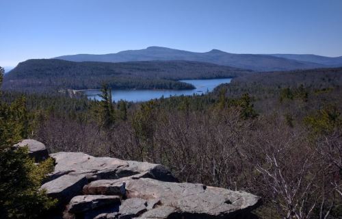 A scenic view of a lake surrounded by mountains and dense forests under a clear blue sky.