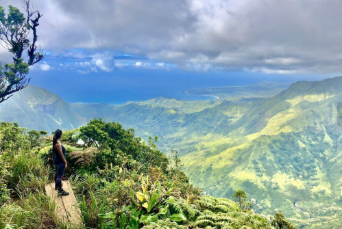 A person stands on a trail overlooking a lush green valley and ocean under a cloudy sky.