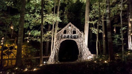 A whimsical archway made of branches, illuminated in a dark forest, surrounded by trees and soft glowing lights.