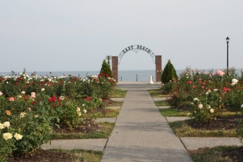 A pathway lined with colorful roses leads to an archway that reads "East Beach" by the water.