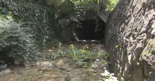 A serene stream flows near a stone wall, leading to a dark tunnel surrounded by lush greenery.