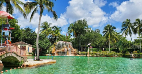 A tropical pool scene with a waterfall, palm trees, and blue skies, creating a relaxing atmosphere.
