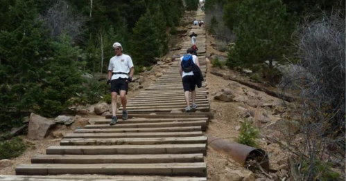 Hikers ascend a steep, wooden staircase through a forested area with rocky terrain and trees on either side.