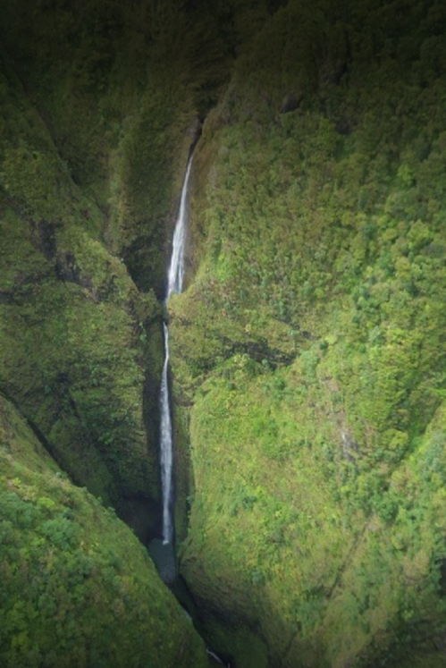 Aerial view of a lush green canyon with a tall waterfall cascading down into a narrow gorge.