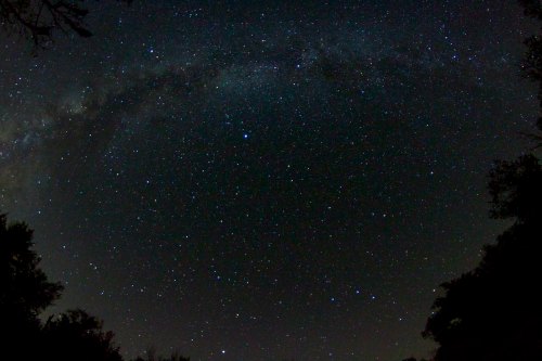 A starry night sky with a visible Milky Way arching across the scene, surrounded by dark silhouettes of trees.