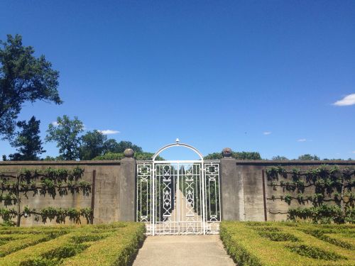 A white wrought iron gate opens to a manicured garden, framed by green hedges under a clear blue sky.