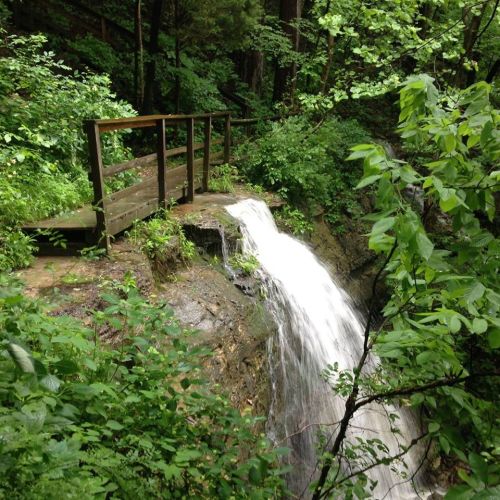 A wooden bridge over a small waterfall surrounded by lush green foliage in a serene forest setting.