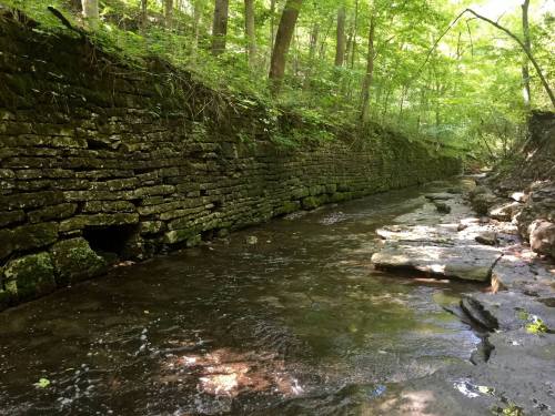 A serene stream flows beside a moss-covered stone wall, surrounded by lush green trees in a peaceful forest setting.