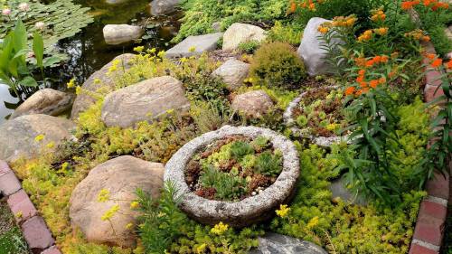 A lush garden scene featuring rocks, colorful flowers, and a stone planter with succulents near a pond.
